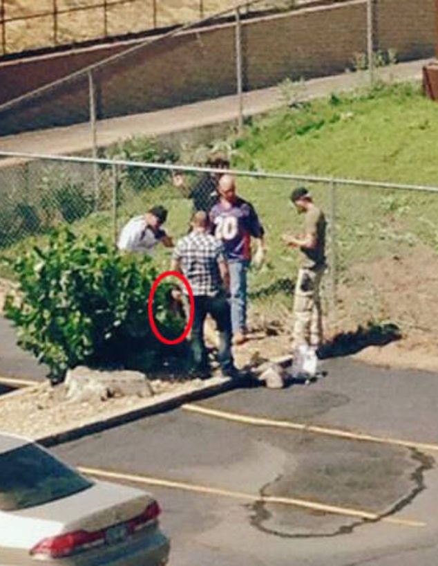 איזבלה גוזמן איזבלה גוזמן