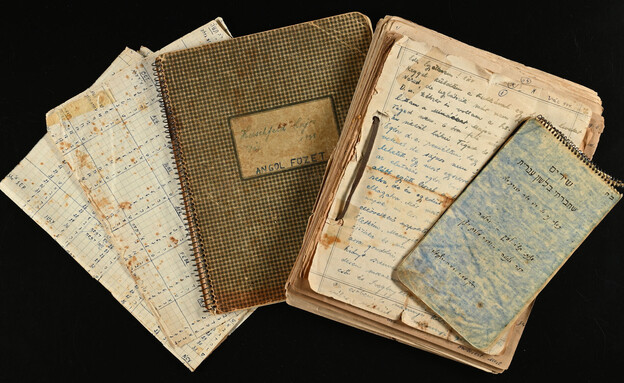 מאיר ועידית הירשפלד