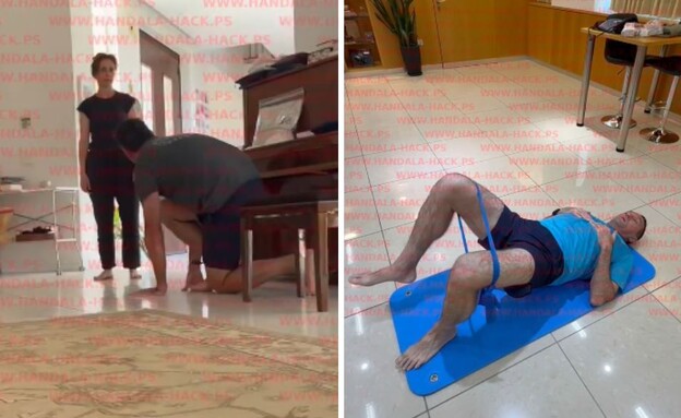 סרטונים של הרצי הלוי