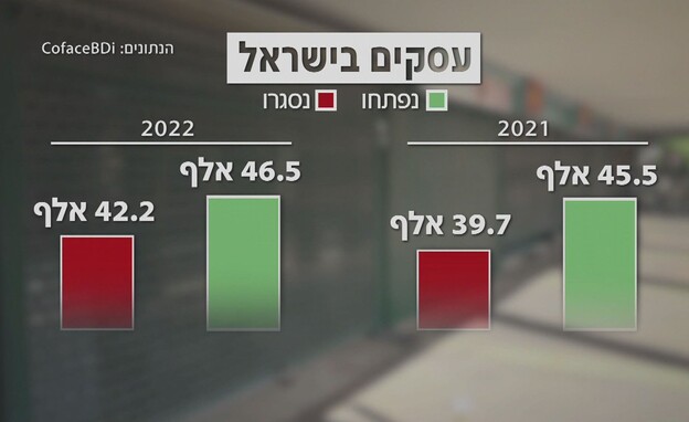 ציון נאנוס עם העסקים שקורסים ומתחננים לעזרה