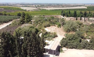 גבעת תם ותומר  (צילום: אפי אליאן | Efi Elian, wikipedia)