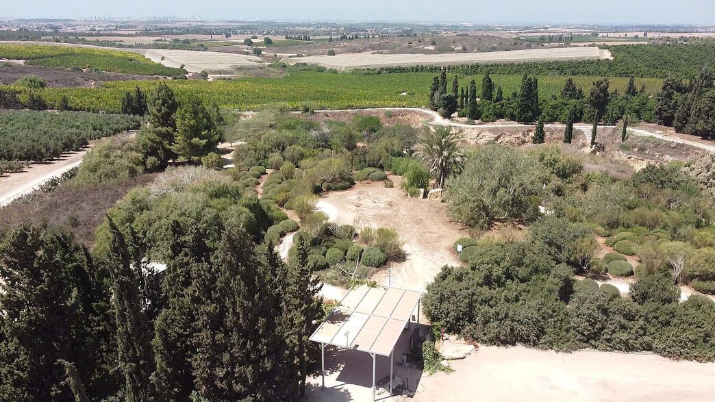 גבעת תם ותומר 