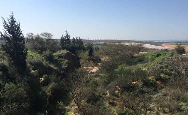 גבעת תום ותומר הנופים מסביב