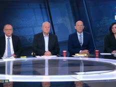 20panelh_vtr2_n20260410_v1 (צילום: חדשות)