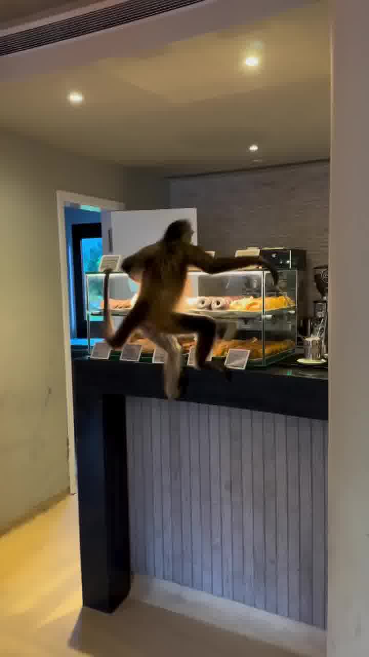 מבינים אותו. הוא בטח שם את הילדים בגן ויצא לקפה עם האישה