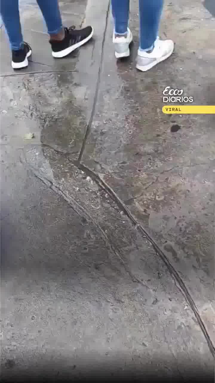 זה מה שנקרא כסף על הרצפה ויש מי שירים אותו