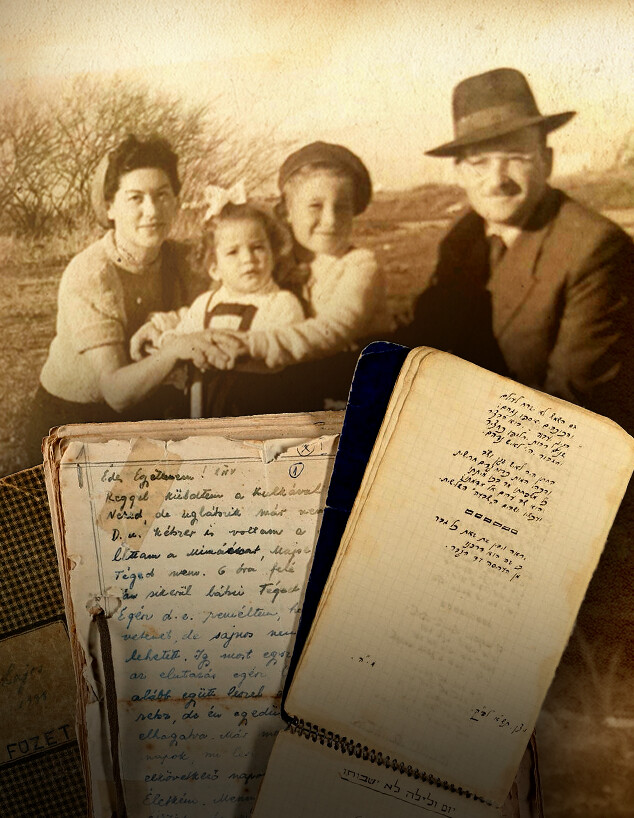 מאיר ועידית הירשפלד