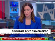 20deanflights_vtr2_n20260412_v1 (צילום: חדשות)