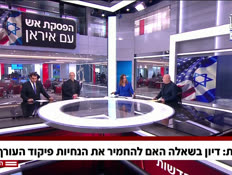 20nirone_vtr2_n20260412_v1 (צילום: חדשות)