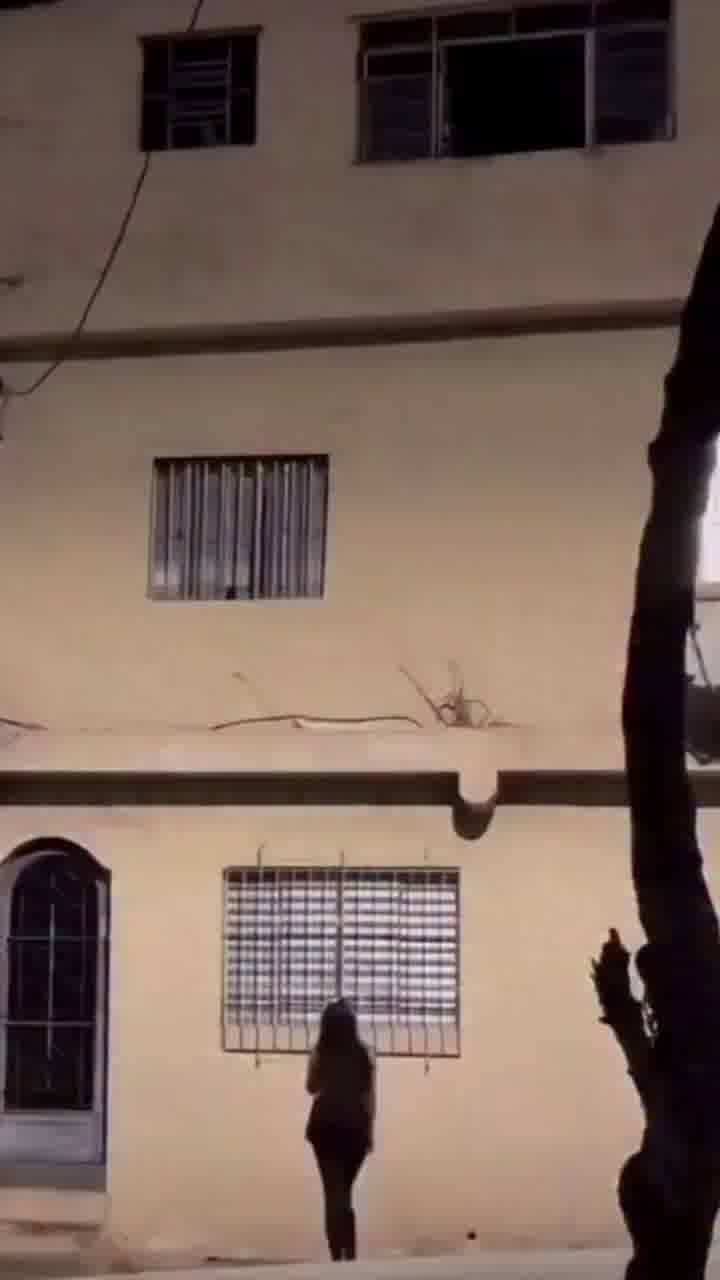 תמיד תהיתם מאיפה מופיעים כל הגרפיטי האלה? הנה מישהו שתוכל לספר קצת