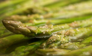 אספרגוס (צילום: istockphoto)