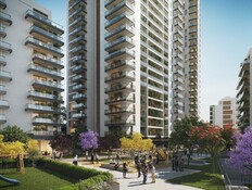 פרויקט החותרים