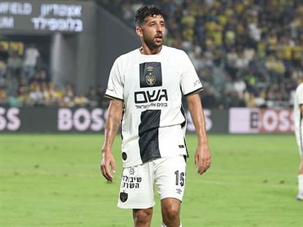 (אלן שיבר) (אלן שיבר)