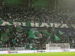 (קובי אליהו) (צילום: ספורט 5)