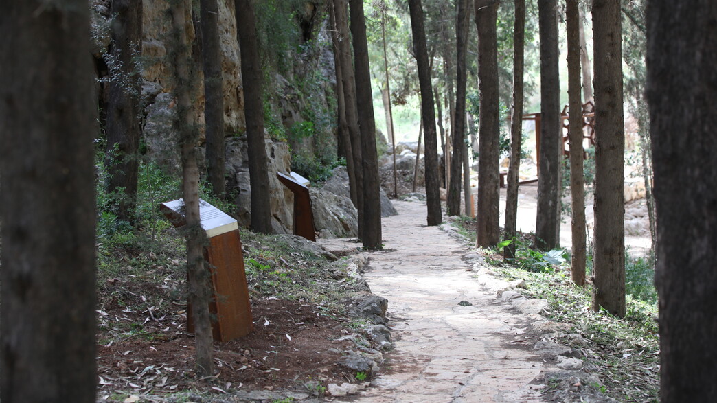 יער הקדושים