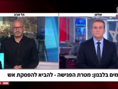 20hemolebanon_vtr2_n20260414_v1 (צילום: חדשות)
