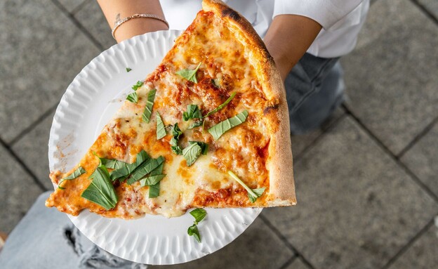 פיצה 194 רחובות