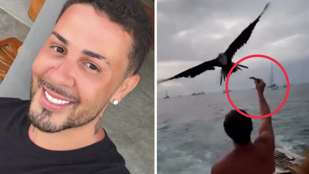 ברזיל: אושיית הרשת צילם את חבריו מאכילים ציפורים – והסתבך בענק