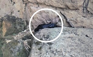 נקודת המפגש ובה השקית עם "דמי הכופר" (צילום: דוברות המשטרה)