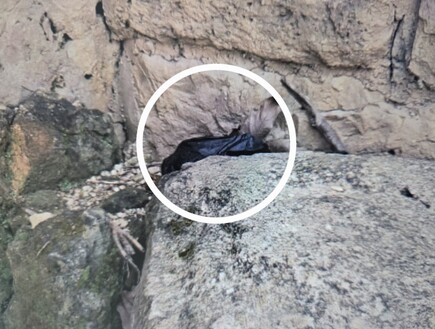 סחט באיומים את הבוס שלו: "איים להפיץ סרטון אינטימי"