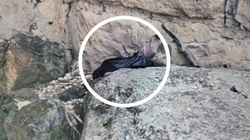 סחט באיומים את הבוס שלו: 