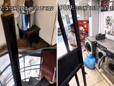 סרטון הטיקטוק (צילום: רשתות חברתיות לפי סעיף 27א')