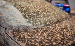 רכב מלוכלך, אובך על רכב (צילום: shutterstock_Lancho)