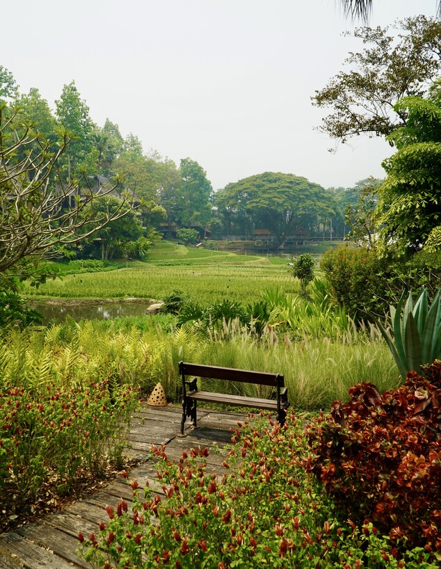 פור סיזנס ריזורט צ'אנג מאי פור סיזנס ריזורט צ'אנג מאי