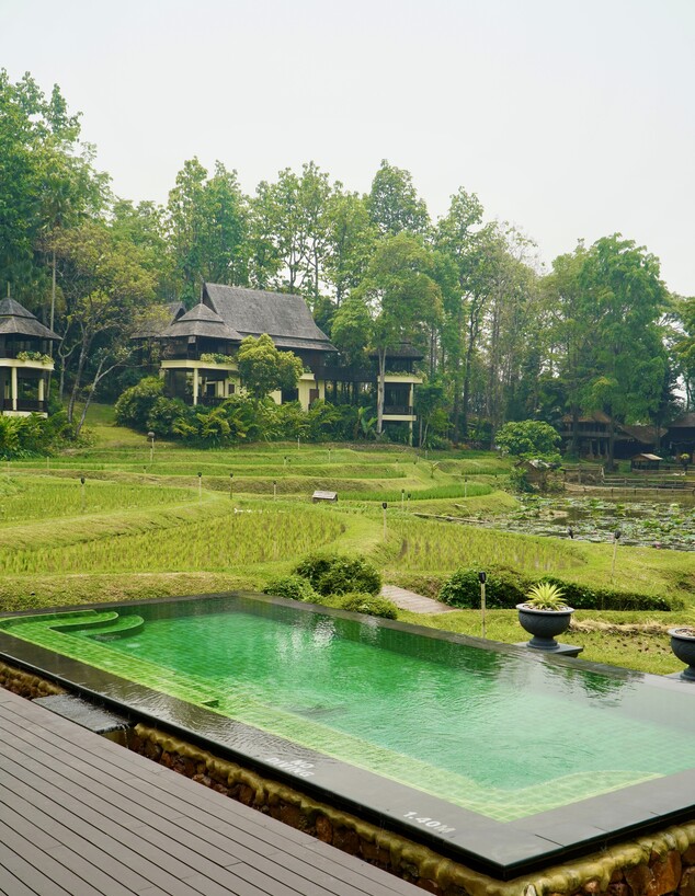 פור סיזנס ריזורט צ'אנג מאי פור סיזנס ריזורט צ'אנג מאי