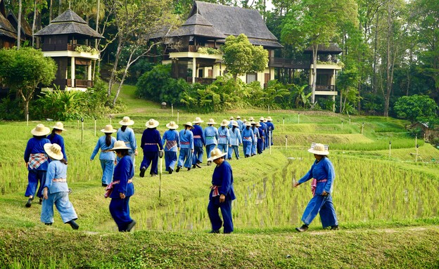 פור סיזנס ריזורט צ'אנג מאי פור סיזנס ריזורט צ'אנג מאי