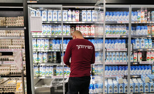 מקרר מוצרי חלב (צילום: מיכאל גלעדי, פלאש 90)