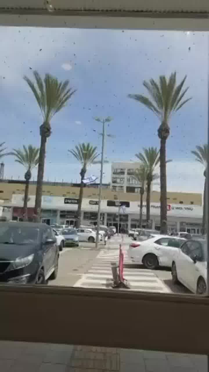 מכת דבורים במרכז המסחרי בנתיבות, החנויות נעלו את הדלתות