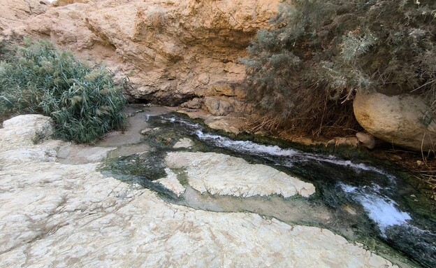 עין בוקק (צילום:  איל שפירא)