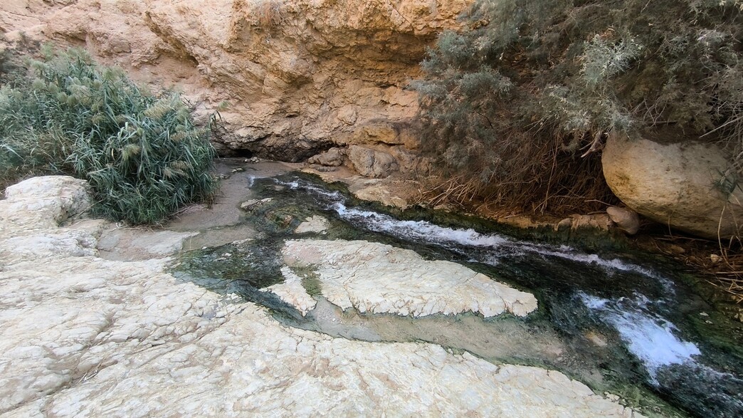 עין בוקק עין בוקק