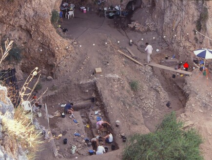 תגלית פורצת דרך: השלד שנחשף - והשאלות שנשארו פתוחות