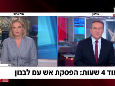 20danaweiss_vtr2_n20260416_v1 (צילום: חדשות)
