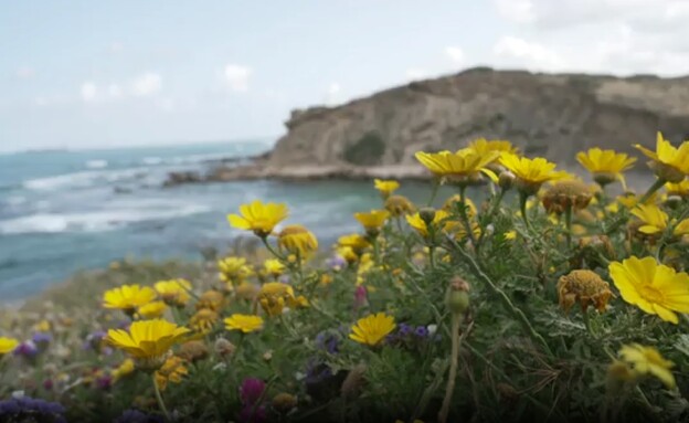 שמורת חוף גדור (צילום: חדשות 12)