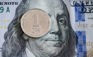 דולר שקל (צילום: נתי שוחט, פלאש 90)