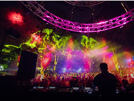 מותם של חיי הלילה