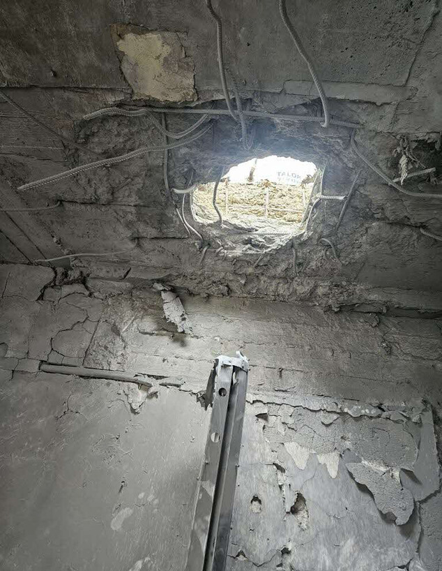 ההרס, שלומית שוסטר