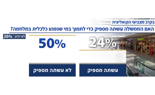 האם הממשלה עשתה מספיק כדי לתמוך במי שנפגע כלכלית?