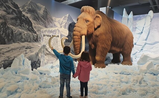 המסע לאנטרקטיקה – נפלאות העולם הקפוא