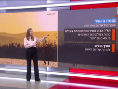 20mezeg_vtr2_n20260417_v1 (צילום: חדשות)