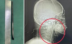 מר וואנג (צילום: מתוך הרשתות החברתיות לפי סעיף 27א' לחוק זכויות יוצרים)