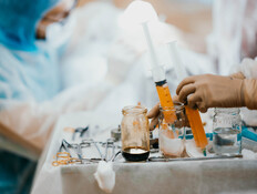 הזרקת שומן (צילום: shutterstock_Velimir_Zeland)