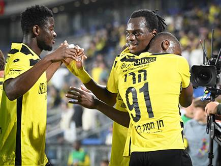 (ברני ארדוב)