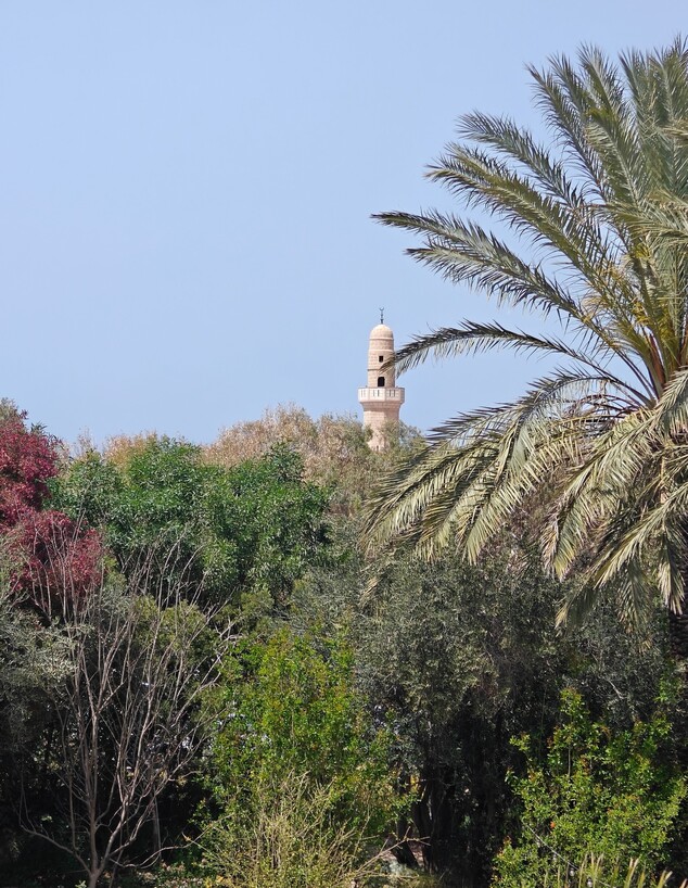 רחוב גלי תכלת נוף למסגד סידני עלי ג 