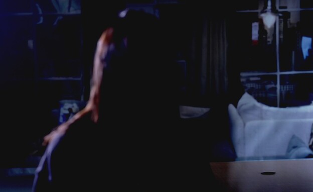 עו"ד עידן דביר