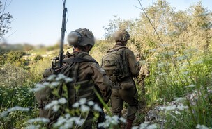 פעילות כוחות אוגדה 162 בדרום לבנון (צילום: דובר צה"ל)