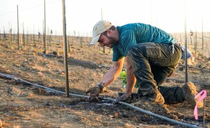 מתניה זל (צילום: באדיבות המשפחה)